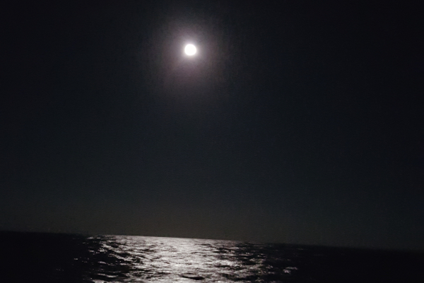 Roméo se prend pour Ulysse