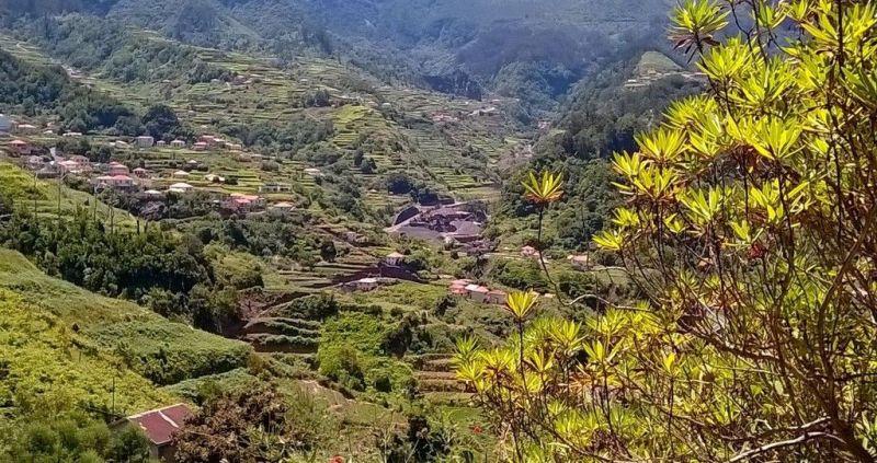 Media carnet de voyage