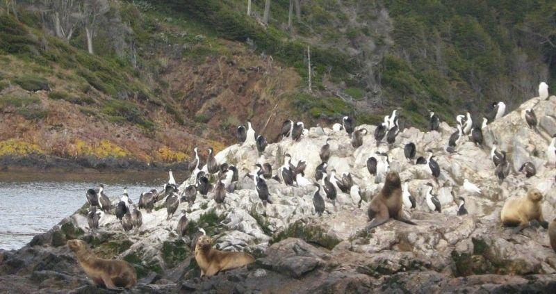 Media carnet de voyage