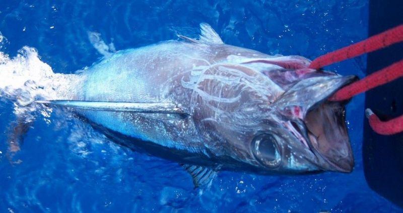 Media carnet de voyage