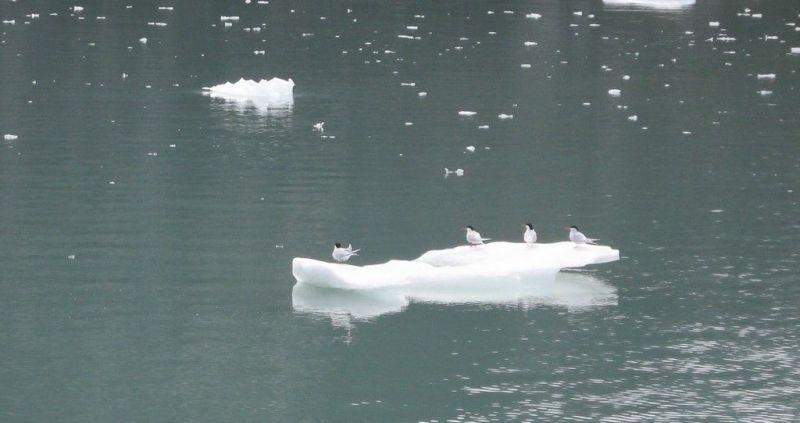 Media carnet de voyage