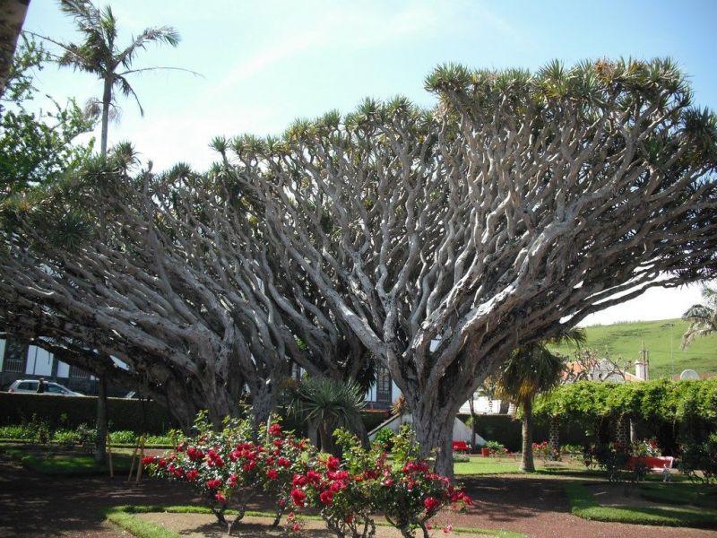 Media carnet de voyage